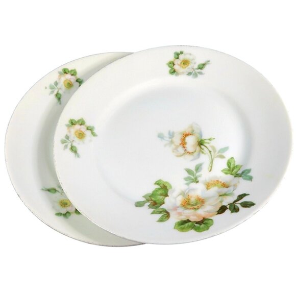 Koenigszelt Silesia Germany Wild Roses Set of 2 Antique 1920s Dessert Plates - Picture 1 of 6